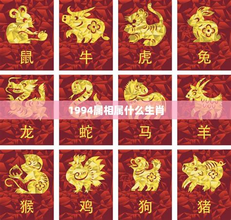 1994年屬|1994年属什么生肖 和什么属相婚配最合适